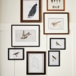Free Printables Bird Gallery
