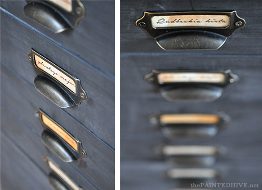 Library Card Catalogue Pulls | The Painted Hive
