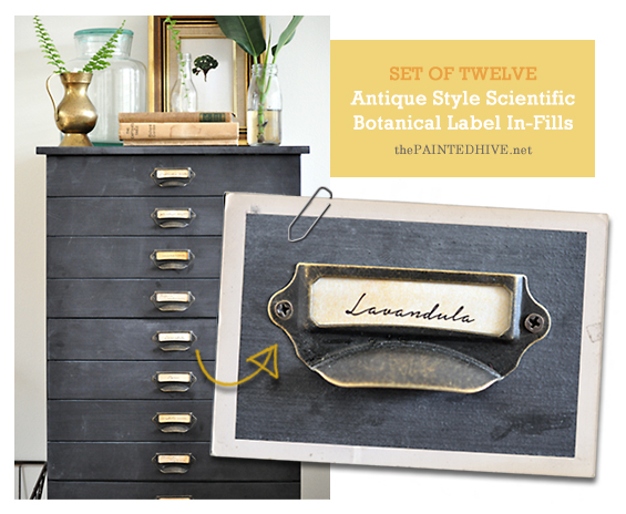 Antique Style Card Catalogue Label In-Fills | The Painted Hive