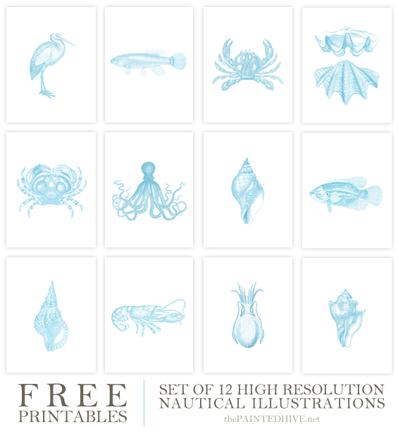 Free Printables - 12 Nautical Illustrations | The Painted Hive