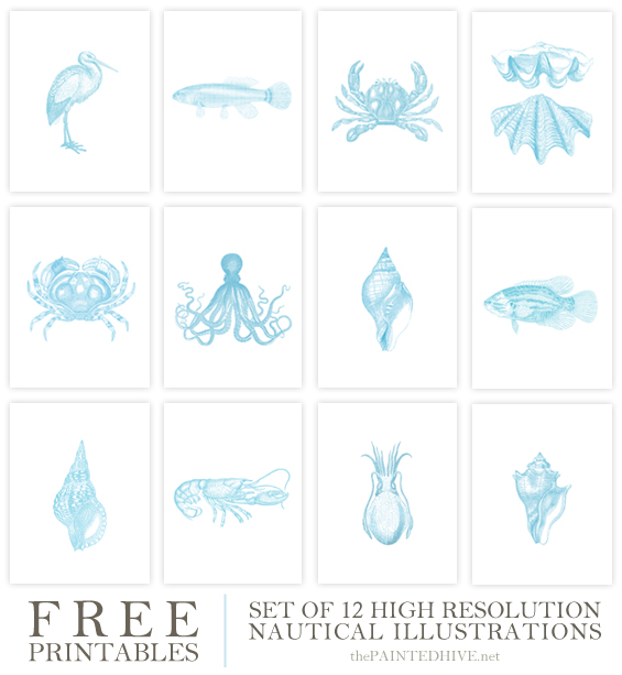 Free Printable Vintage Coastal Illustrations The Painted Hive 