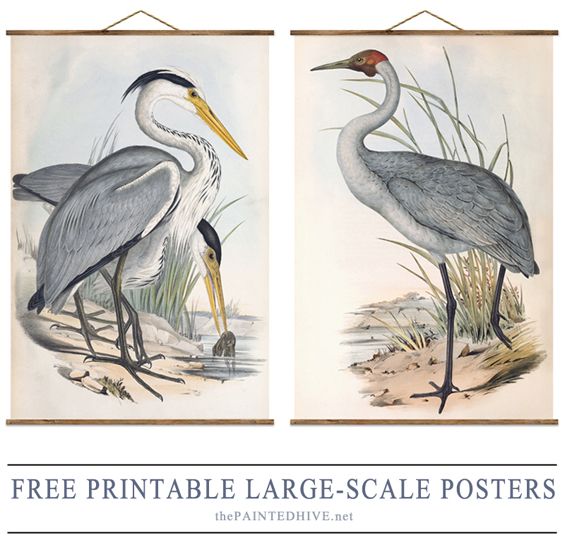 Heron Poster Watercolor Heron Printable Bird Printable Instant Download A4 Size Heron Digital Download Nature Art Bird Wall Art