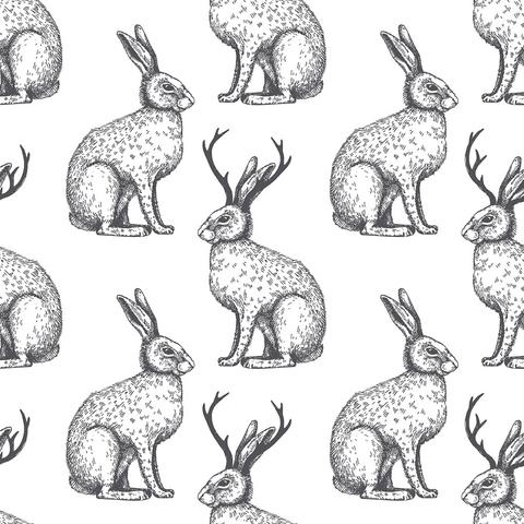 Stickers Jackalope Wall Books Decals Water Bottle 3x4 Inch 3 Pcs/Pack 