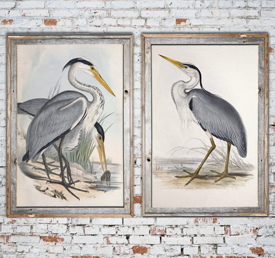 Free Printable Large Scale Heron Art