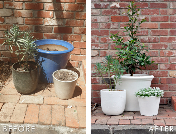 Plant Pot Makeover Before and After