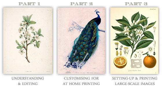 Free Art Printables Series