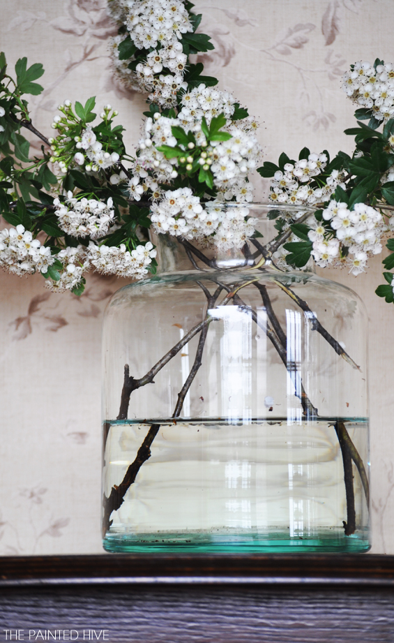 Apple Blossom in Glass Canister