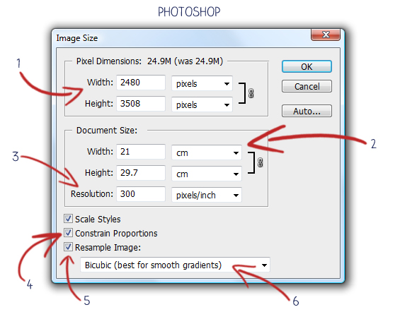 Photoshop: Understanding the Image Size Dialogue Box | The Painted Hive