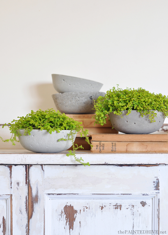 DIY Concrete Planter Tutorial