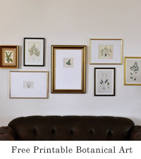 Free Printable Botanicals