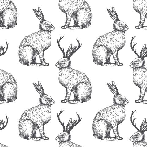 Jackalope Wallpaper