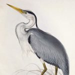 Large-Scale Heron Art