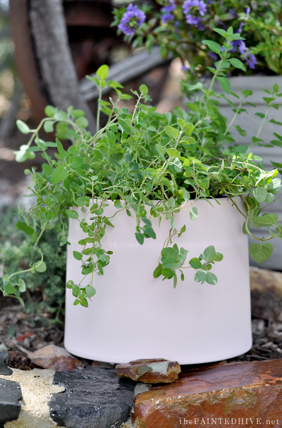 Pink Painted Plant Pot