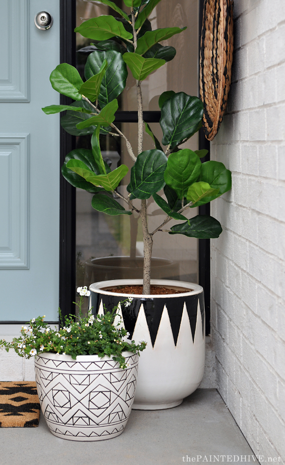 Front Door Pots and Plants