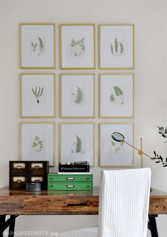 Free Fern Prints