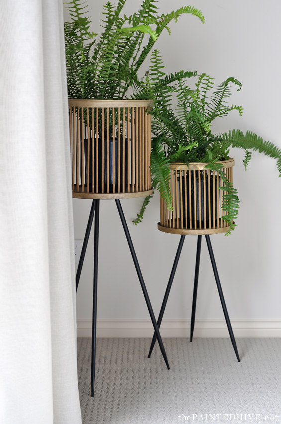 Plant Stands