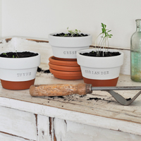 Easy Upcycled Terracotta Herb Pots