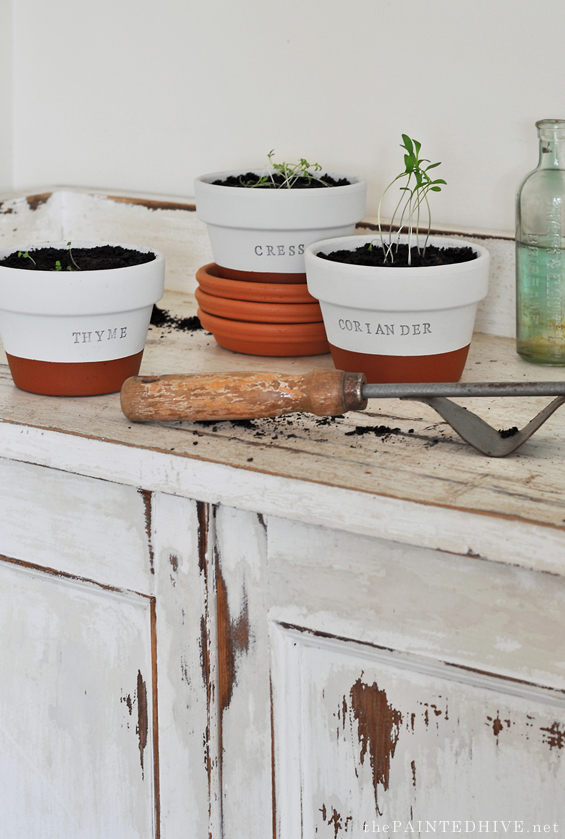 DIY Stamped Herb Pots