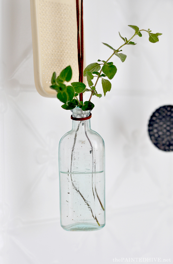 Hanging Herb Bottle