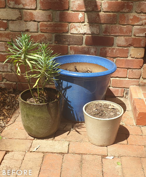 DIY: CREATE A DESIGN AND MODERN CACHE POT WITH 100% RECOVERY 