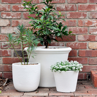 A Quick & Simple DIY Plant Pot Update