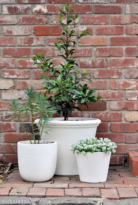 Plant Pot Makeover